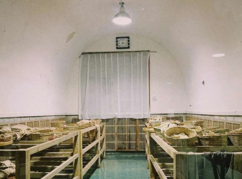 院士团队说2024年茶叶加工理论与技术研究进展（一）