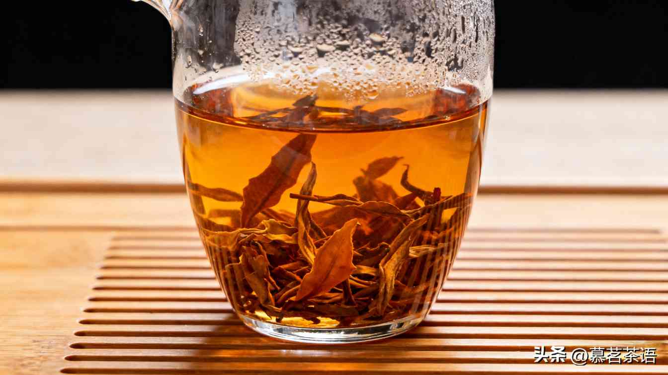 普洱的修为：见茶，见因果，见自己