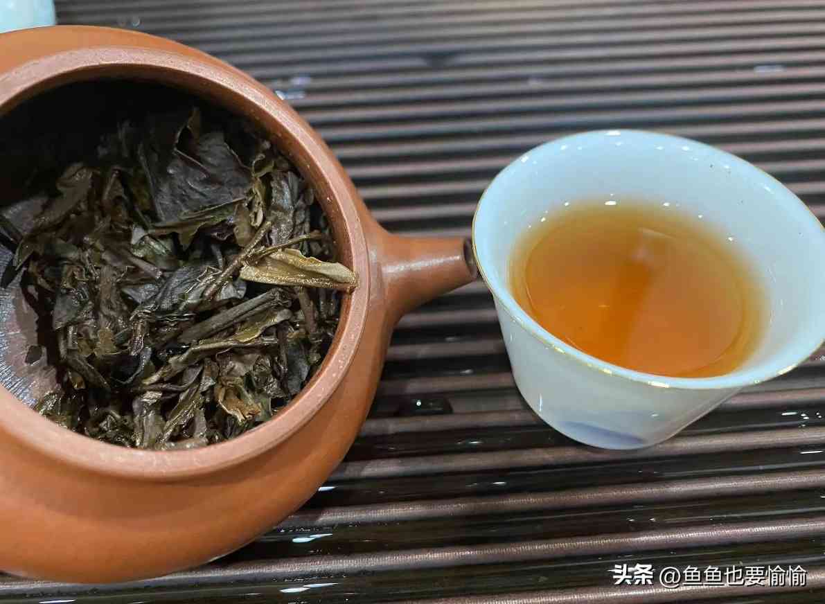 紫砂圈12句“黑话”，能说3句以上，老师傅直接把你当自己人