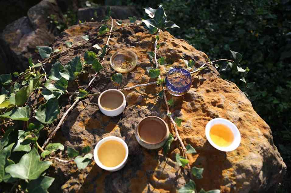 老茶市场明星产品8582的来历和品质怎么样？