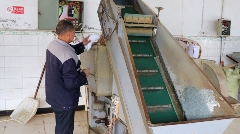 抢“鲜”!价格每斤150元,首批蒙顶山茶春茶开采 抢“鲜”!价格每斤150元,首批蒙顶山茶春茶开采