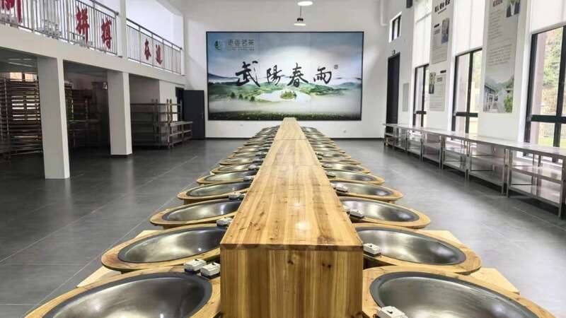 有机茶业复苏 驱动出口增长新动能 brand_alt_mark
