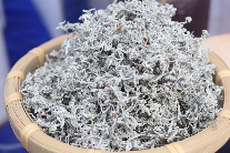 代用茶医保报销新趋势:藤茶纳入湖北目录 藤茶正式纳入医保!茶行业保障再升级