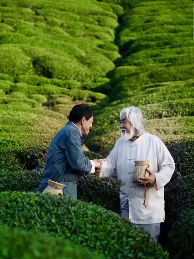 千岛湖茶春季文化体验营销助力品牌升级 千岛湖茶香溢四海,茶旅融合谱新篇