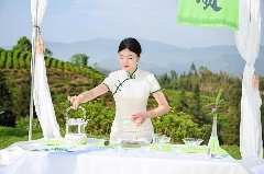生态紫茶斗茶赛点燃茶文化传承新火花 古韵新章!斗茶盛会共鉴紫茶风华