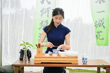 生态紫茶斗茶赛点燃茶文化传承新火花 古韵新章!斗茶盛会共鉴紫茶风华