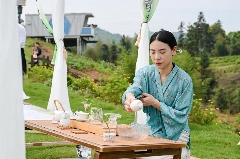 生态紫茶斗茶赛点燃茶文化传承新火花 古韵新章!斗茶盛会共鉴紫茶风华
