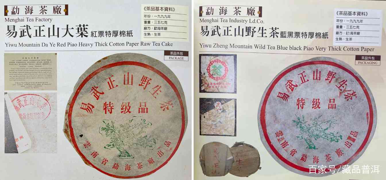 1999年绿大树野生系与大叶系区分指南