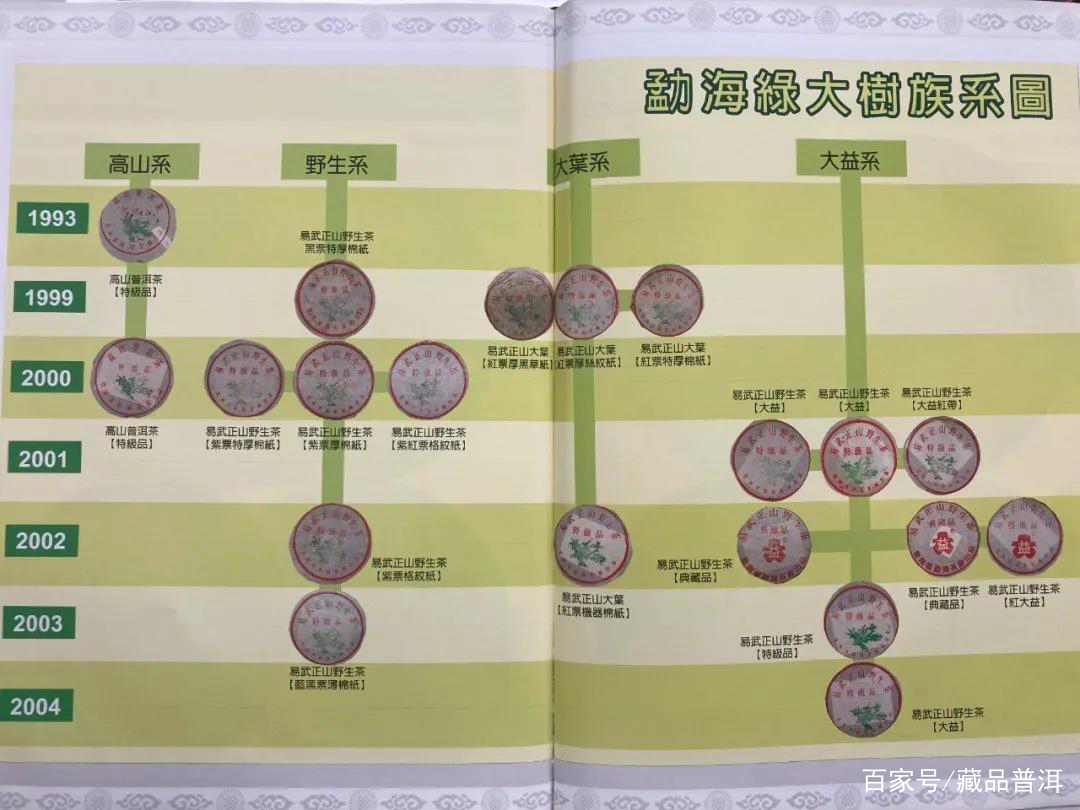 1999年绿大树野生系与大叶系区分指南