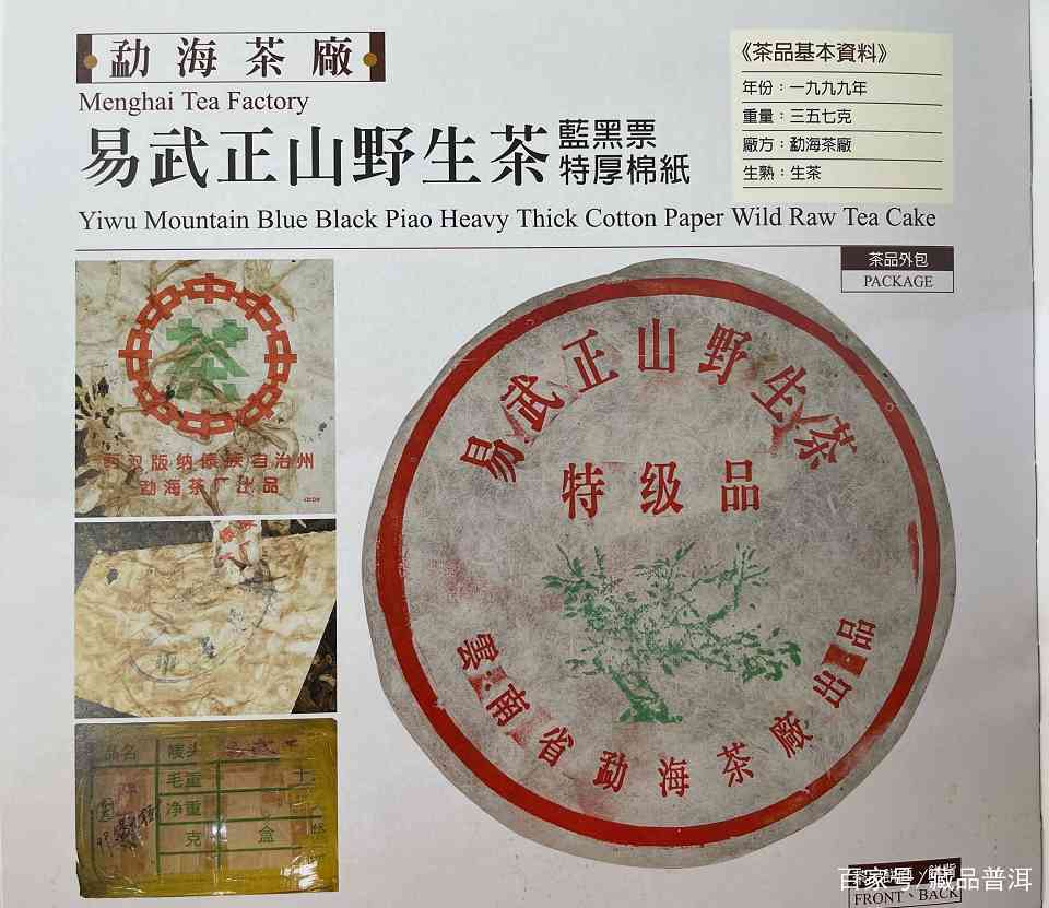 1999年绿大树野生系与大叶系区分指南