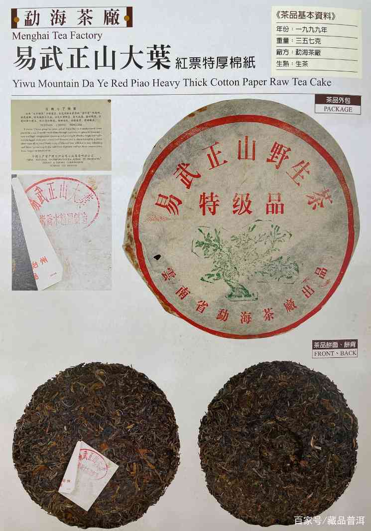 1999年绿大树野生系与大叶系区分指南