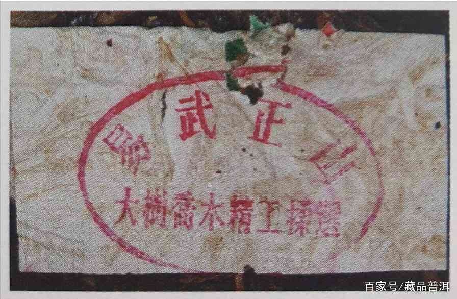 1999年绿大树野生系与大叶系区分指南