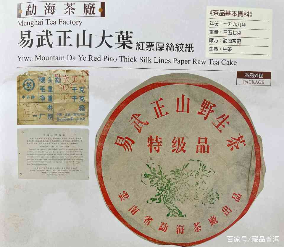1999年绿大树野生系与大叶系区分指南