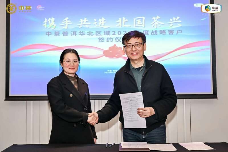华北战略客户研讨聚焦市场机遇与创新突破 中茶云南华北区域 2025 年度战略客户研讨会成果丰硕