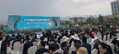 2025年重点产茶县域交流活动昌宁红茶高质量发展大会成功举办