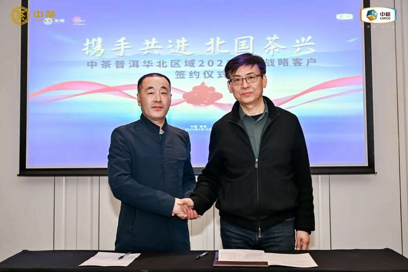 华北战略客户研讨聚焦市场机遇与创新突破 中茶云南华北区域 2025 年度战略客户研讨会成果丰硕