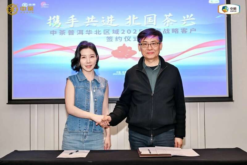 华北战略客户研讨聚焦市场机遇与创新突破 中茶云南华北区域 2025 年度战略客户研讨会成果丰硕