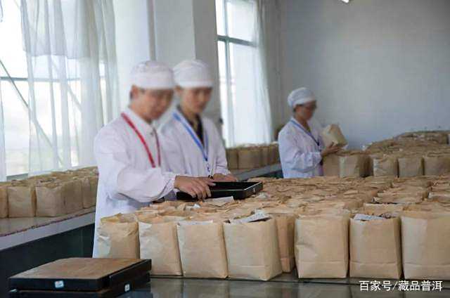 普洱茶五大冷知识：黑茶？茶龄？金花？