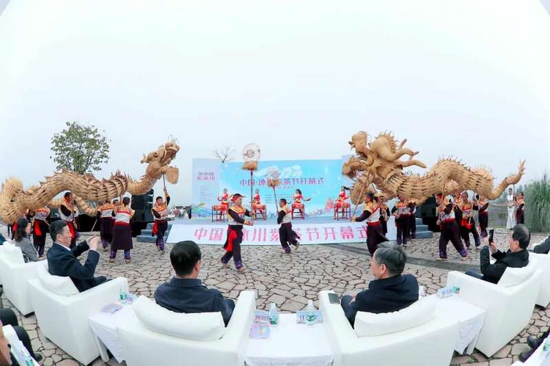 沐川紫茶产业盛景:茶文化研学与生态魅力全览 “紫”气东来!沐川紫茶盛宴即将启幕!