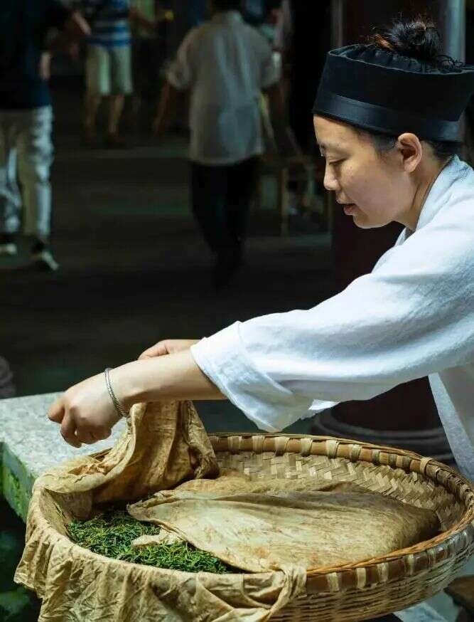 成都茶产业"建圈强链"如何打造高质量发展新范式 下一站,成都茶要泡出千亿产业