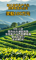 雅安市茶产业高质量发展激励政策推动经营主体壮大 雅安茶产业新政策,最高奖励100万!