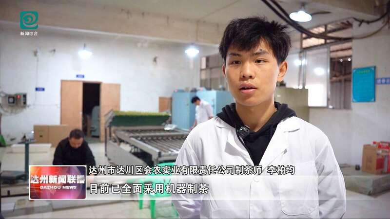达州春茶采摘季开启 高效机械助力乡村振兴 达州:春山吐翠茶飘香 漫山新茶采收忙