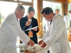 高黎贡山茶文化节推动生物多样性与乡村振兴协同发展 联动千村万寨、保护生物多样性茶山、助力乡村振兴暨高黎贡山第十届茶文化节盛大开幕!