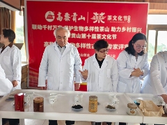 高黎贡山茶文化节推动生物多样性与乡村振兴协同发展 联动千村万寨、保护生物多样性茶山、助力乡村振兴暨高黎贡山第十届茶文化节盛大开幕!