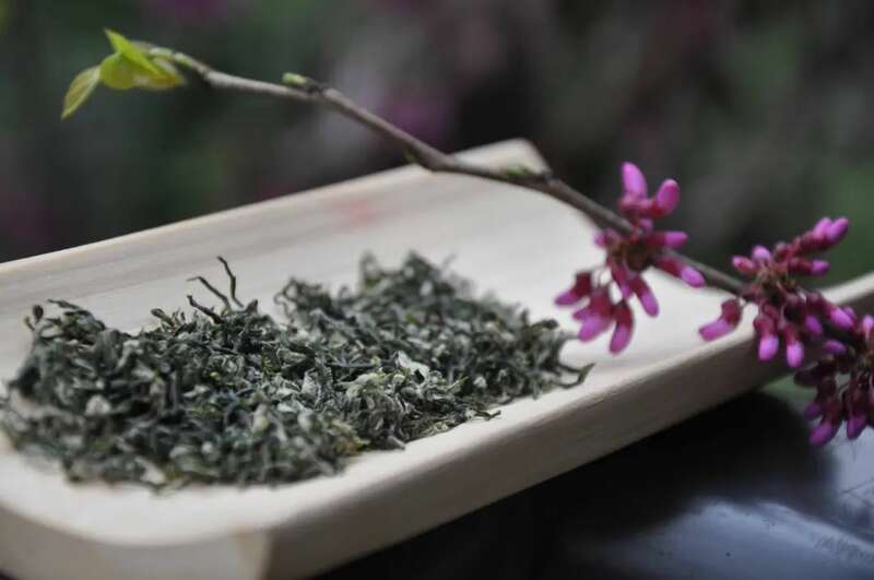 福建绿茶为何被冷落?品质不输名茶却难上位 好魔幻!福建绿茶“挤”进前排,却在本省活成了小透明……