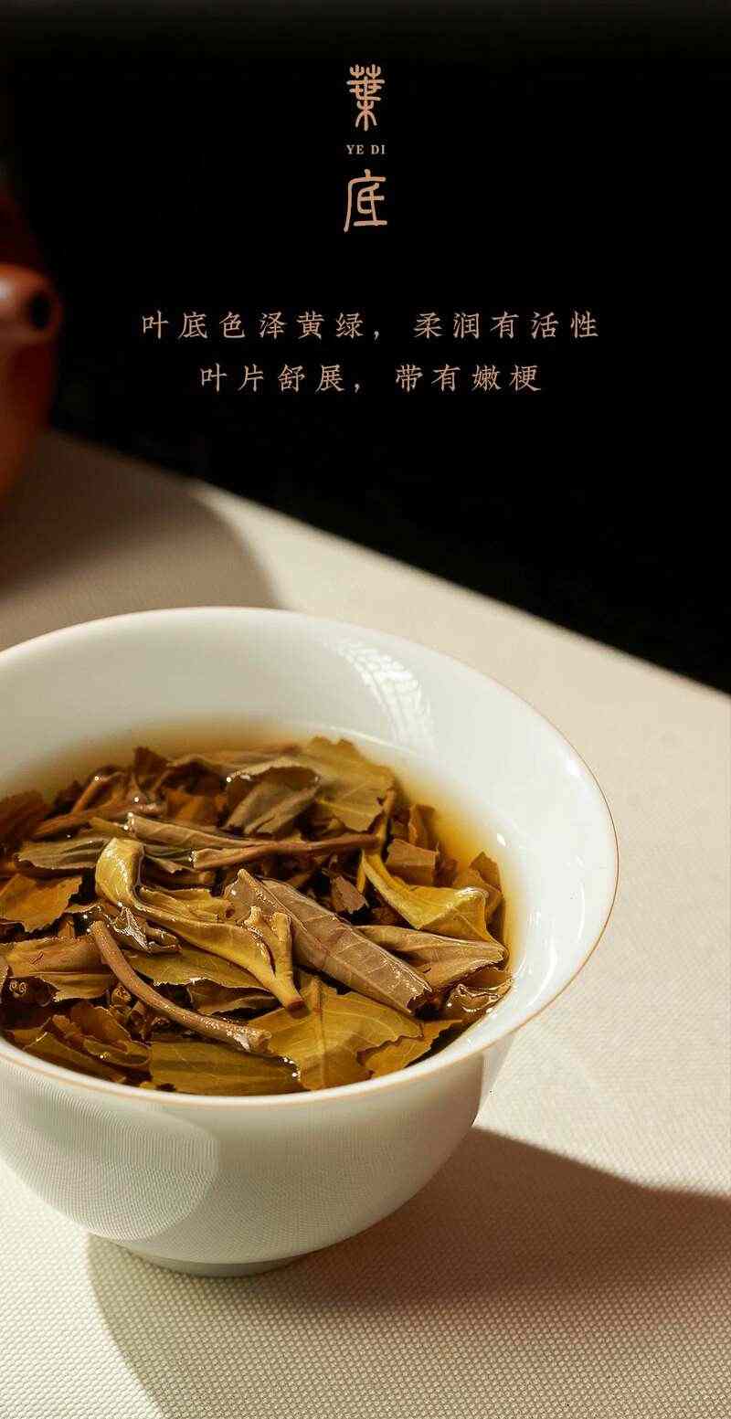 999g厚砖普洱茶亮相复古皮箱设计 诠释岁月沉淀价值 岁月铸味,玉叶成金 大益999克生茶厚砖岁月陈金开启质感好礼