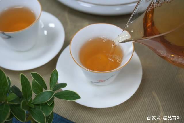 普洱口粮茶选购指南：高性价比之选