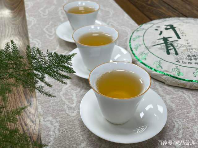 开春第一饼的诗意命名与春茶原料探寻