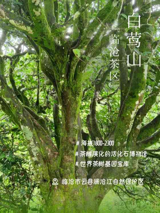 下关秘境白莺山龙珠 品味一山百味的白莺山魅力 下关秘境白莺山龙珠 品味一山百味的白莺山魅力