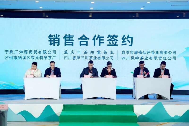 纳溪特早茶开启春茶序幕 全国市场布局加速 全国客商云集成都,共品中国春天的第一杯茶:纳溪特早茶