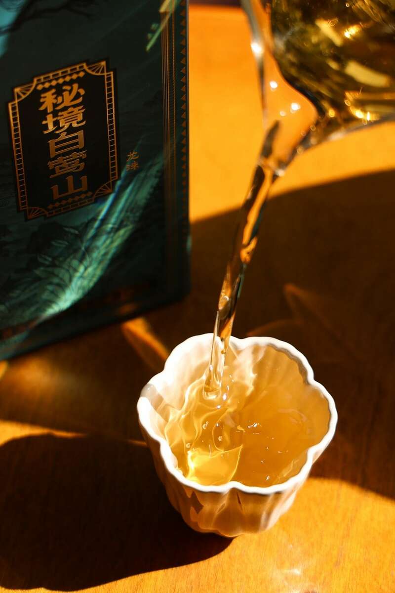 白莺山普洱:茶树基因库与味觉图腾 下关秘境白莺山龙珠 品味一山百味的白莺山魅力