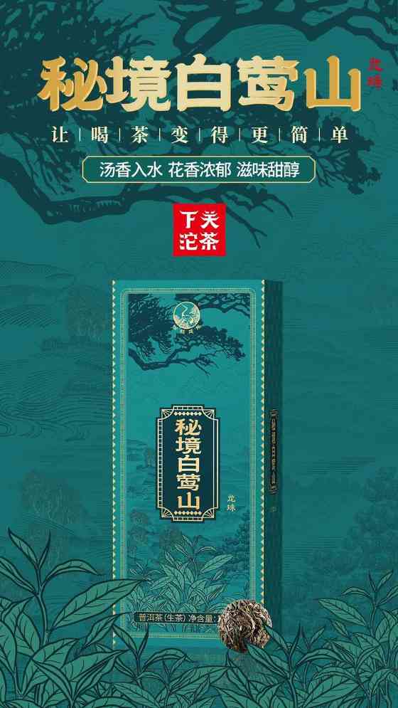 白莺山普洱:茶树基因库与味觉图腾 下关秘境白莺山龙珠 品味一山百味的白莺山魅力