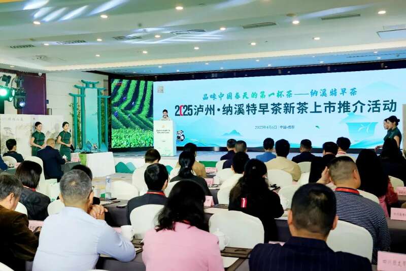 川茶产业新标杆:纳溪特早茶全域生态布局亮相蓉城 全国客商云集成都,共品中国春天的第一杯茶:纳溪特早茶