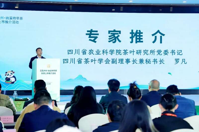 川茶产业新标杆:纳溪特早茶全域生态布局亮相蓉城 全国客商云集成都,共品中国春天的第一杯茶:纳溪特早茶