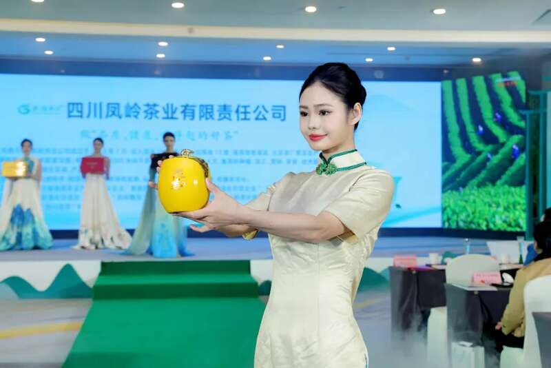 川茶产业新标杆:纳溪特早茶全域生态布局亮相蓉城 全国客商云集成都,共品中国春天的第一杯茶:纳溪特早茶