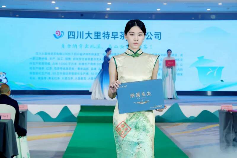 川茶产业新标杆:纳溪特早茶全域生态布局亮相蓉城 全国客商云集成都,共品中国春天的第一杯茶:纳溪特早茶