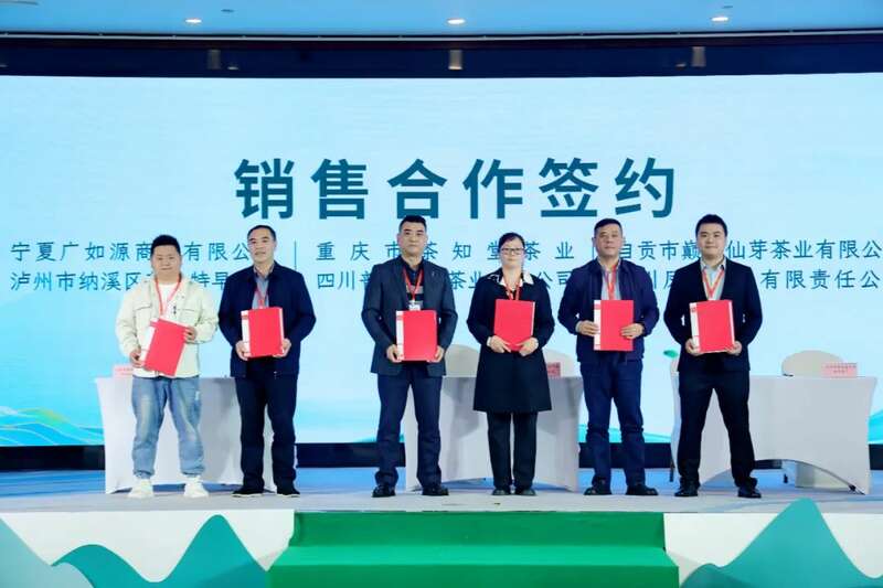 川茶产业新标杆:纳溪特早茶全域生态布局亮相蓉城 全国客商云集成都,共品中国春天的第一杯茶:纳溪特早茶