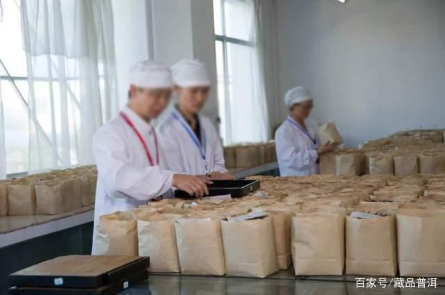 普洱茶拼配秘境:陈化规律与口粮茶选择解析 普洱茶拼配秘境:陈化规律与口粮茶选择解析