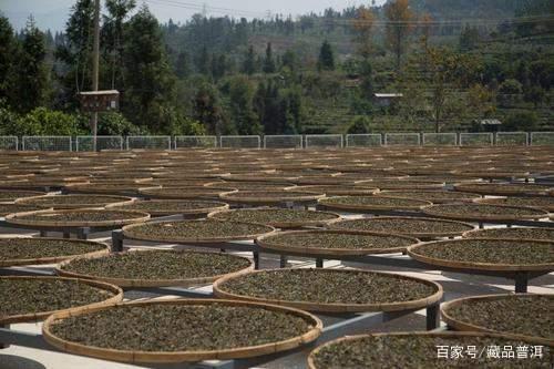 普洱茶知名品牌品质稳定与价格优势解析