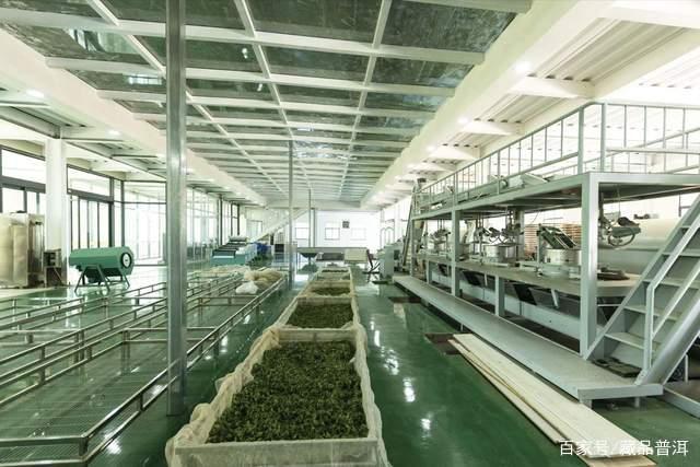 普洱茶知名品牌品质稳定与价格优势解析