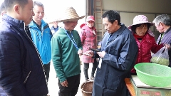 福鼎白茶推出数字化溯源标识 强化品牌保护 福鼎白茶“两标合一”!解读来了