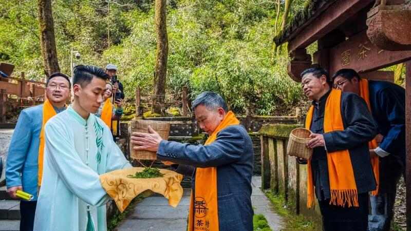 蒙顶山皇茶采制祭祖大典:弘扬茶文化,彰显世界圣山地位 2025年蒙顶山皇茶采制祭祖大典隆重举行
