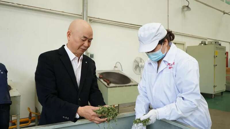 蒙顶山茶企订单创新高 传统工艺助力品质升级 5.2亿元订单落地 茶企开足马力保交付!