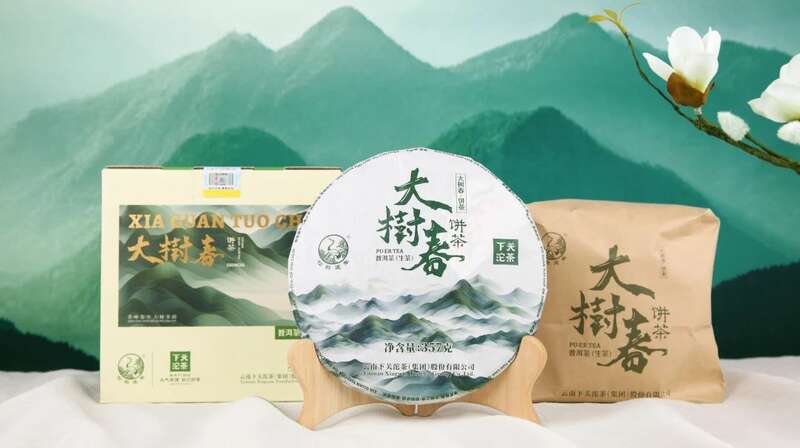 下关大树春饼茶 细酌高山云雾滋养出的“春韵” 下关大树春饼茶 细酌高山云雾滋养出的“春韵”