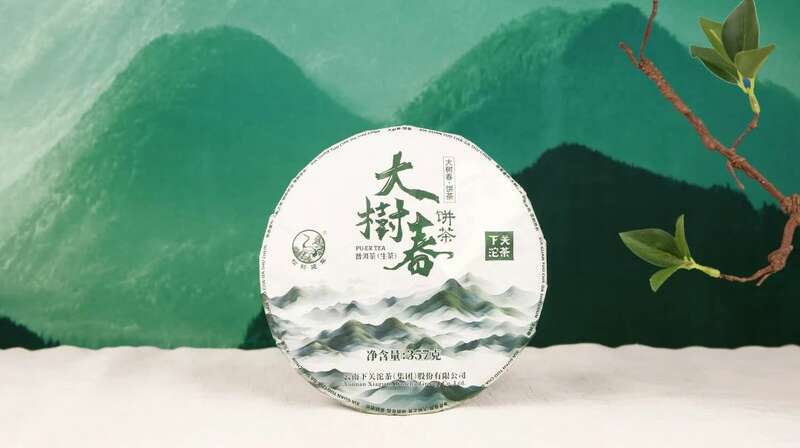 下关大树春饼茶 细酌高山云雾滋养出的“春韵” 下关大树春饼茶 细酌高山云雾滋养出的“春韵”