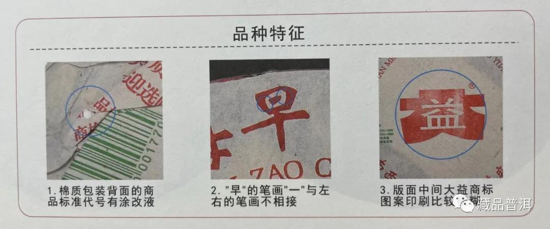 大益301批早春乔木青饼,藏茶圈里的明星“小白菜”,潜力可期 大益301批早春乔木青饼,藏茶圈里的明星“小白菜”,潜力可期